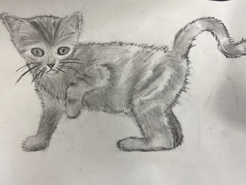 Dessin au crayon d'un chaton de profil réalisé par un enfant